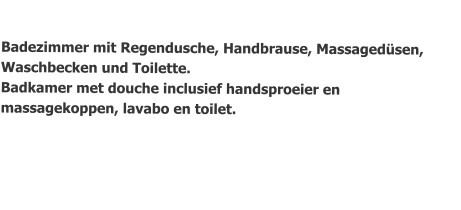 Badezimmer mit Regendusche, Handbrause, Massagedüsen, Waschbecken und Toilette. Badkamer met douche inclusief handsproeier en massagekoppen, lavabo en toilet.